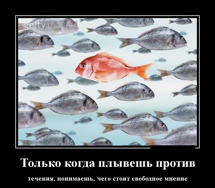 Против  течения