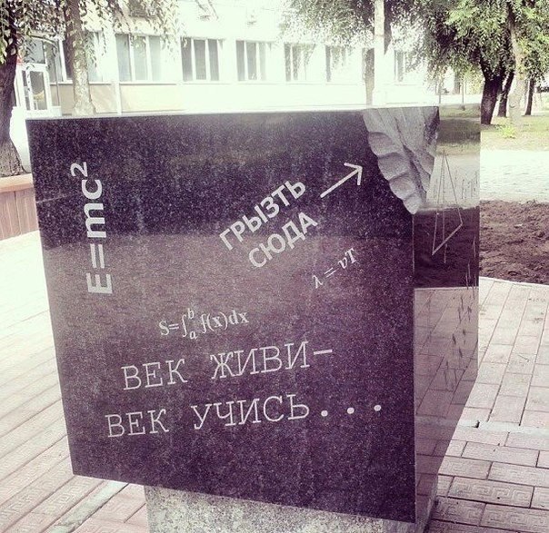 Без названия