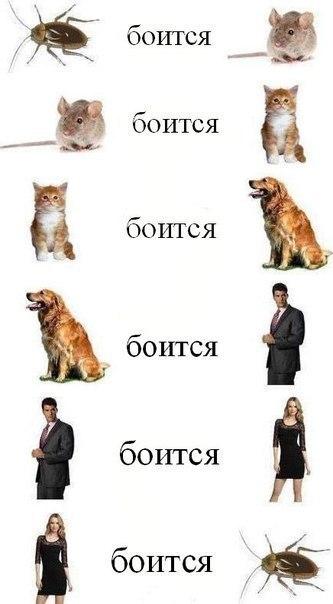 Замкнутый круг
