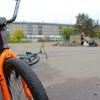 IMG 0409