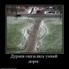 Дураки и дороги Дураки и дороги