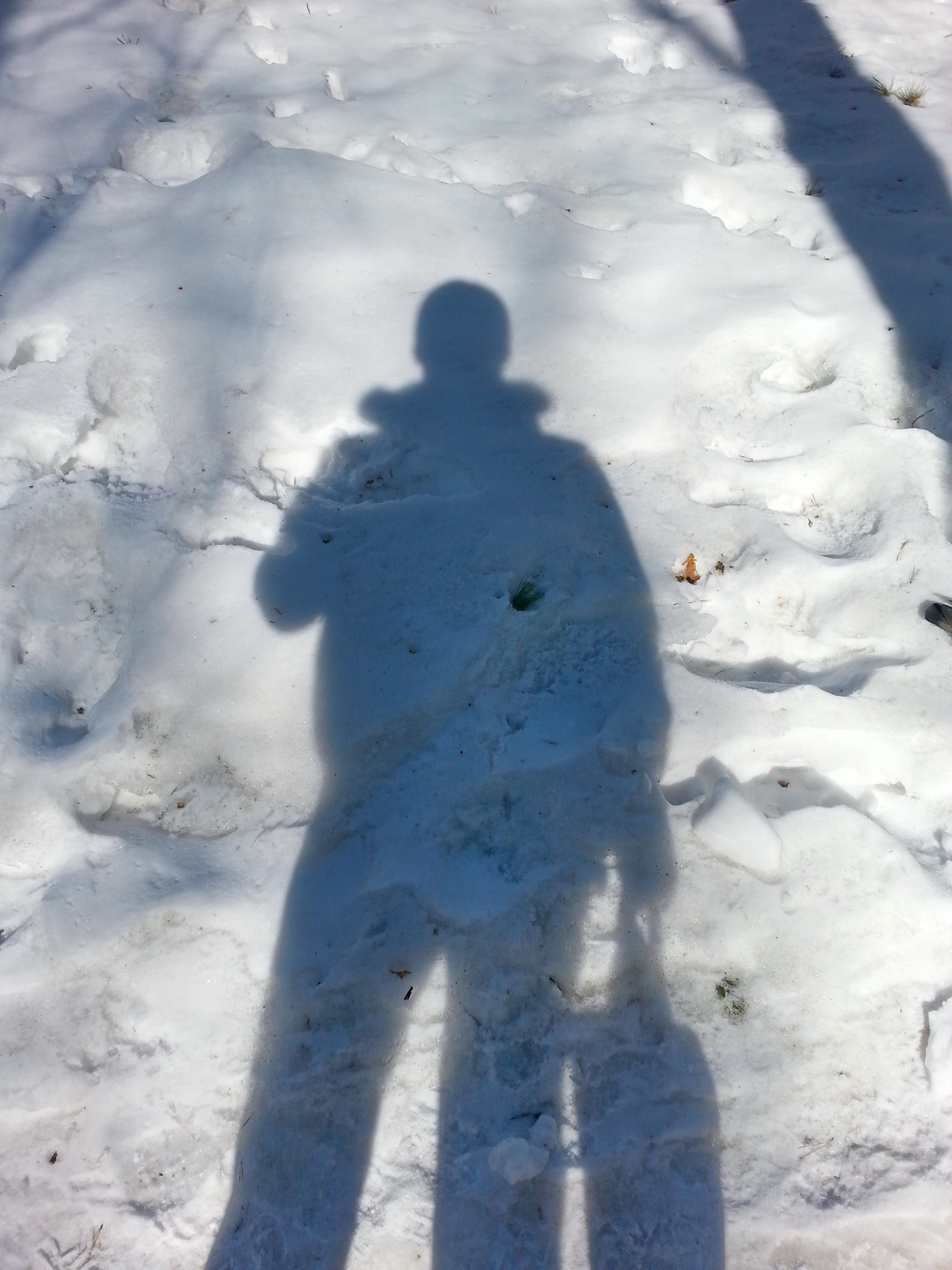 тень сирёгина весенняя снежномартовская))))