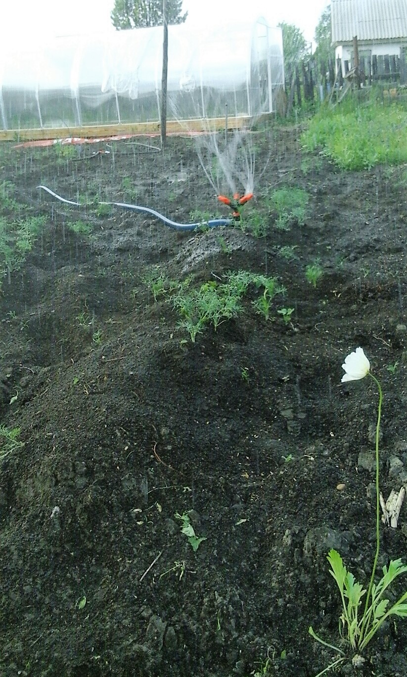 Мини-Петергоф