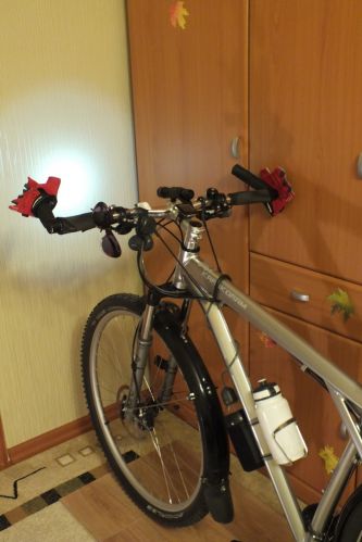 Фото №4 - Конька хочет зимовать дома ))