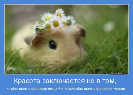 Красота...