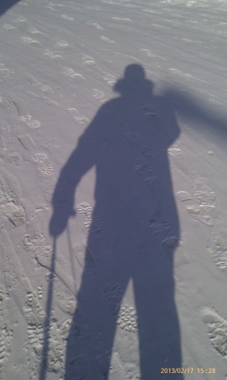 Моя февральская тень)))))) Моя февральская тень))))))