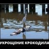 Укрощение
