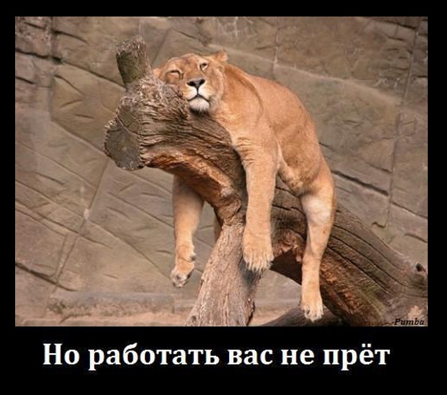 Работать-не прёт