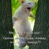 сваты едут)))