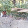 Парк 10-летия Ангарска: урна у скамейки