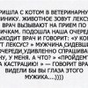 Лексус и кастрация