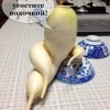 редкая редька)))))