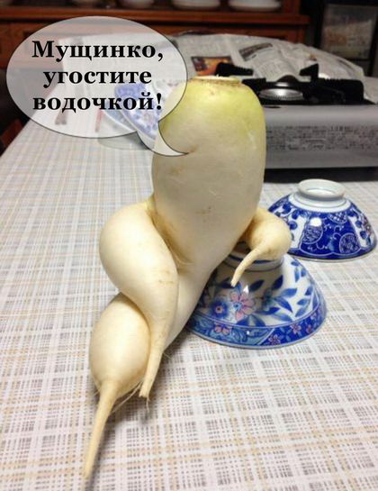 редкая редька)))))