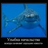 Улыбка начальства