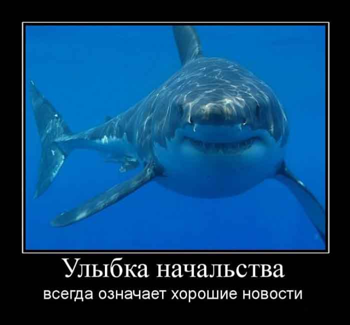 Улыбка начальства