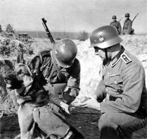 Добрые солдаты вермахта одевают собачку дляпрогулки