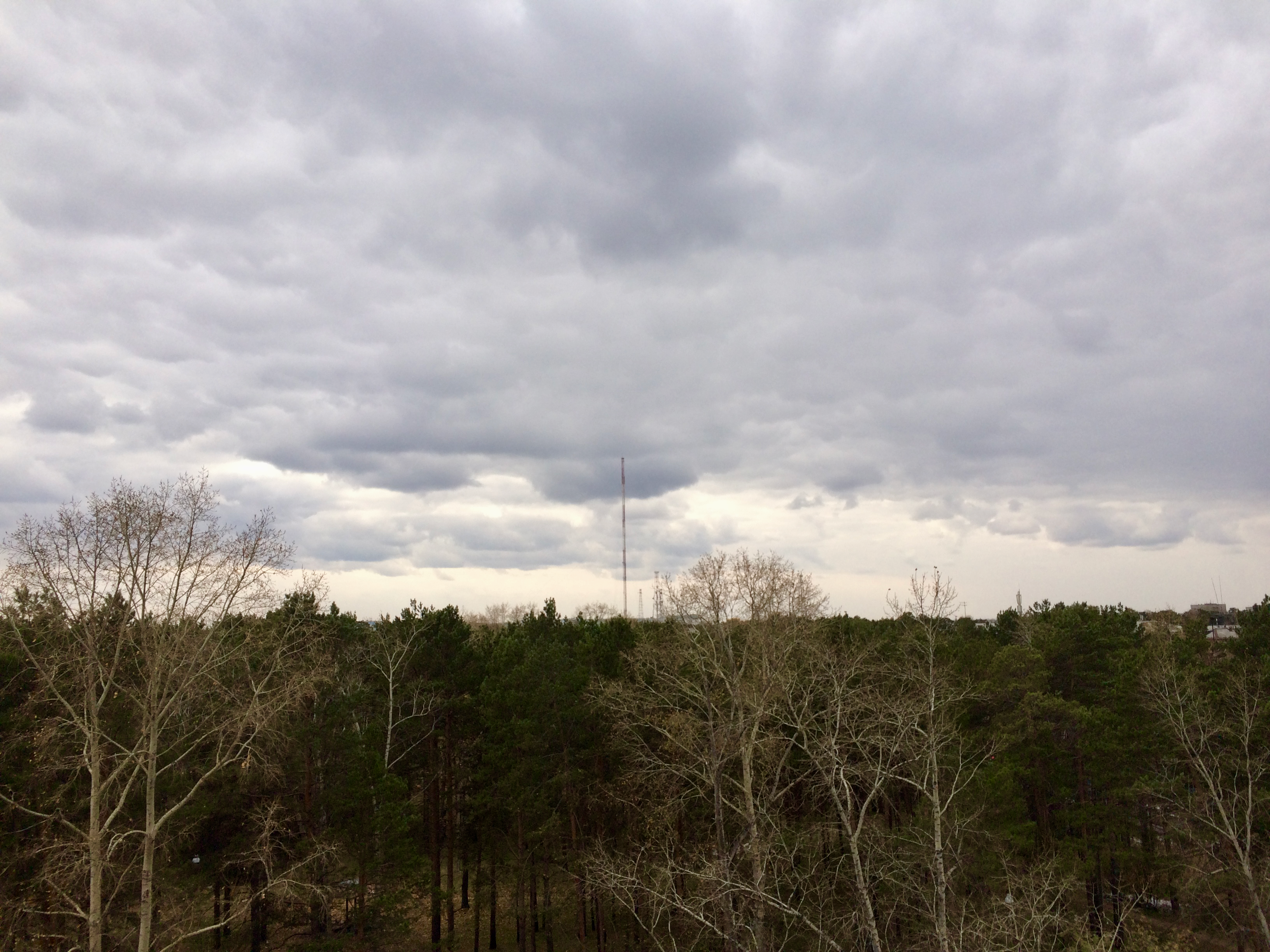 Одиночество