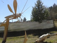 Лукоморье_026