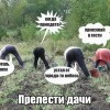 Прелести дачи Прелести дачи