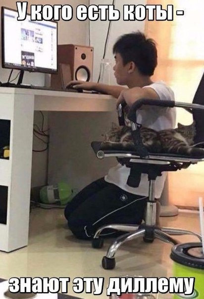 Котэ