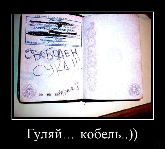 Разведен-свободен