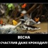 Весна Весна