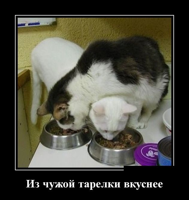 Из чужой тарелки-вкуснее