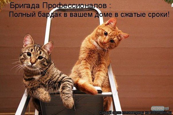 Котэ5