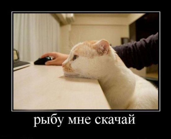 Рыбу скачай