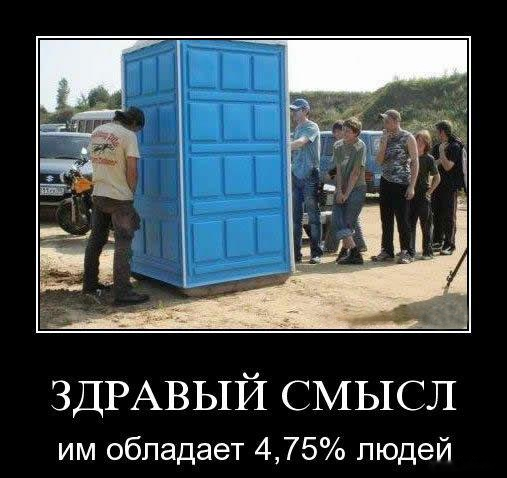 Здравый смысл
