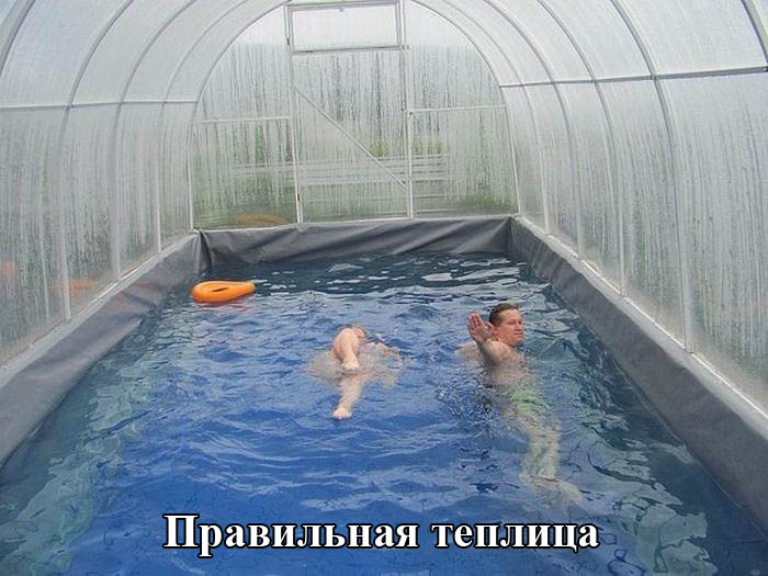 Правильная теплица