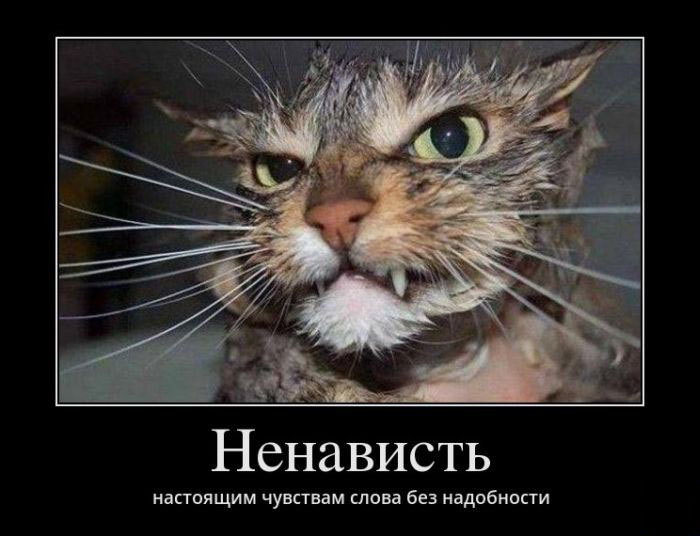 Ненависть