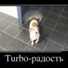 Турбо-радость