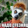 не нада здезняца)))))