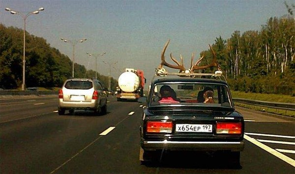 Рога