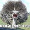 Утром, у зеркала Утром, у зеркала