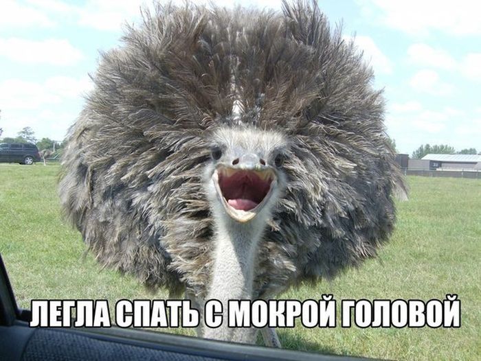Утром, у зеркала