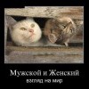 Взгляд на мир Взгляд на мир