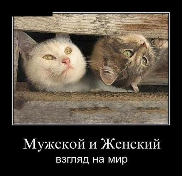 Взгляд на мир