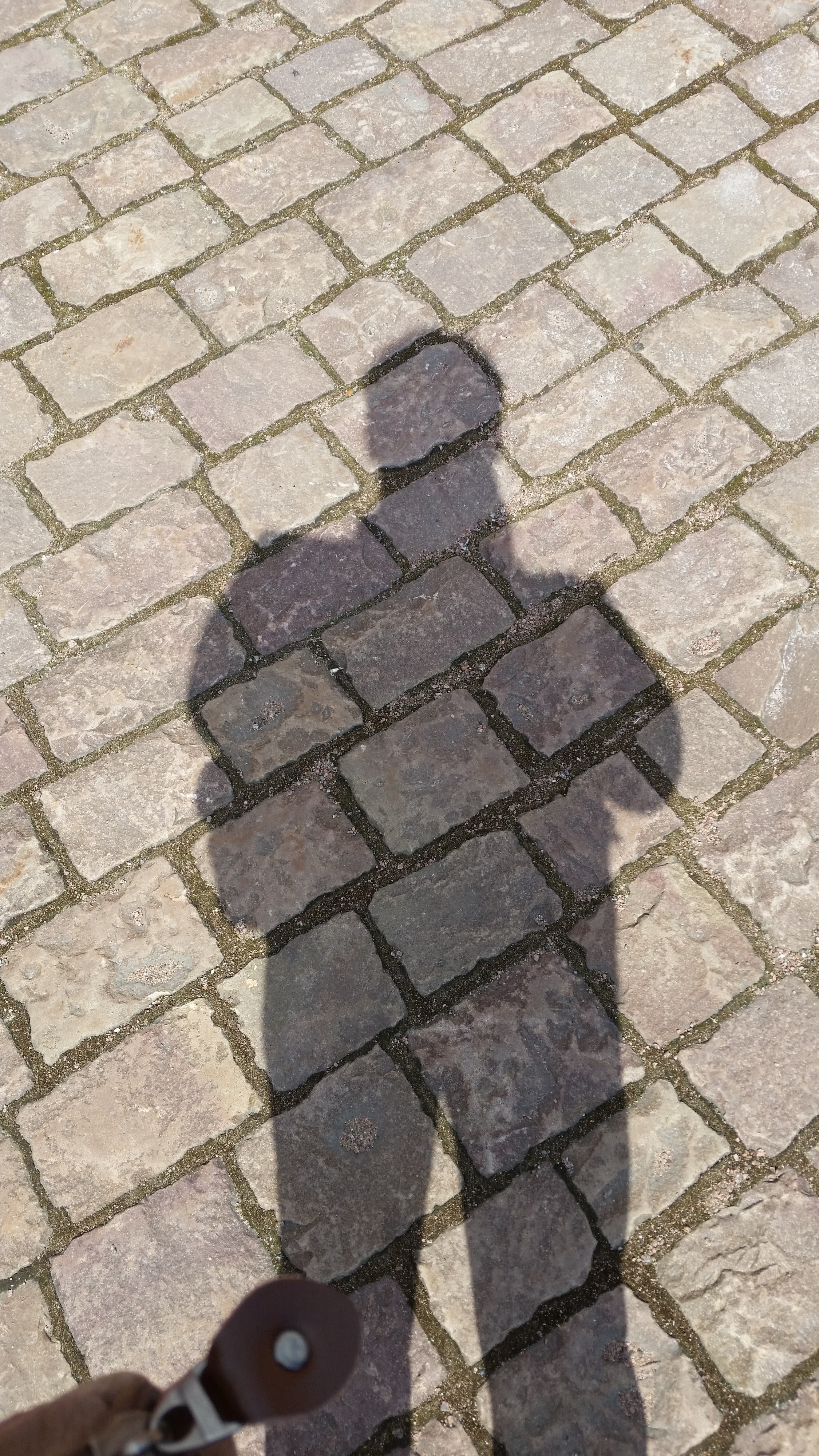 тень каменноплощадная сирёгина))))))