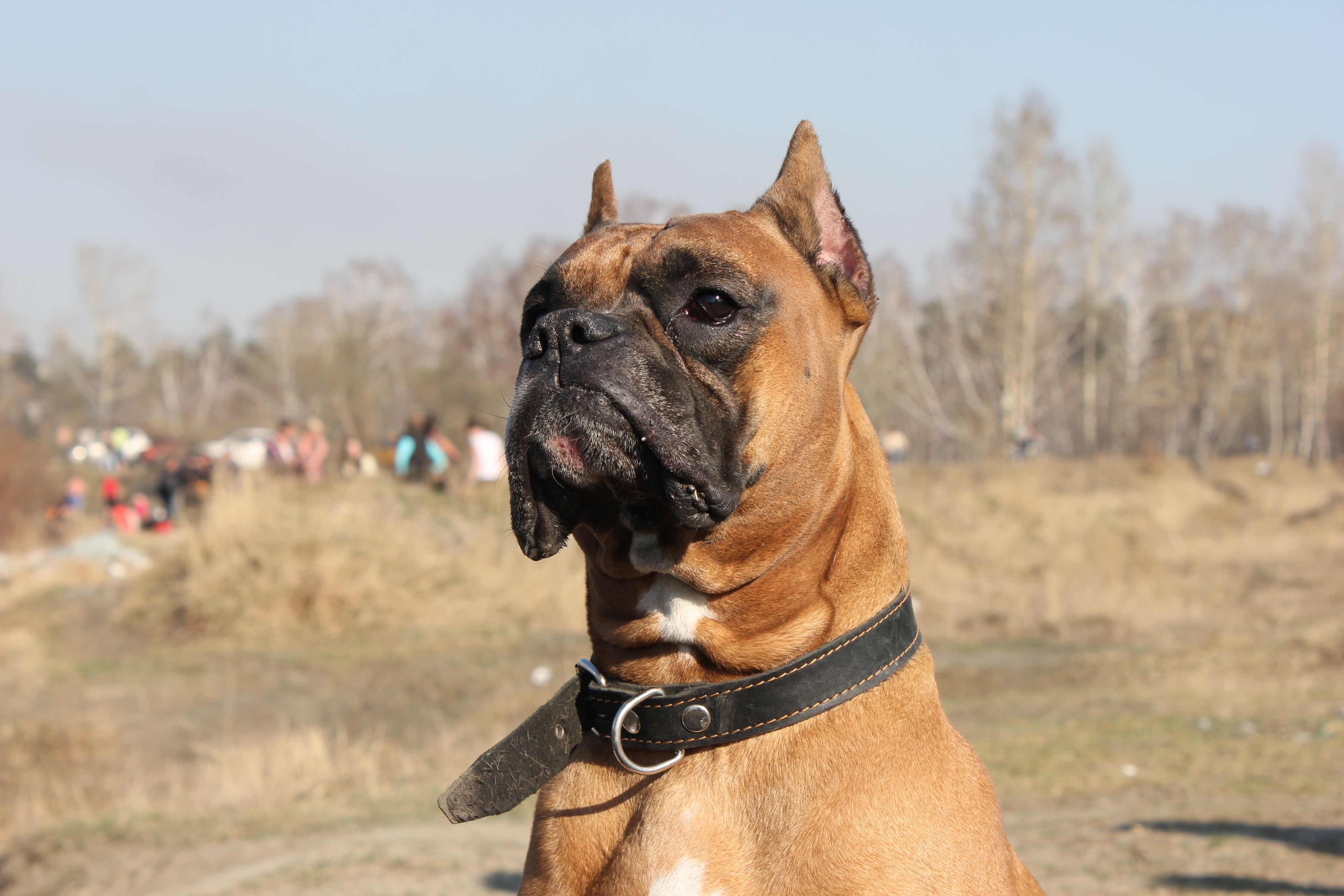 ну,чё,пожарилось там???