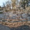 Парк за Современником, что здесь раньше было, танцплощадка?