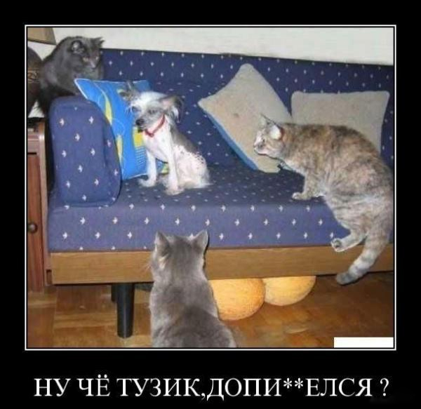 Проблемы...