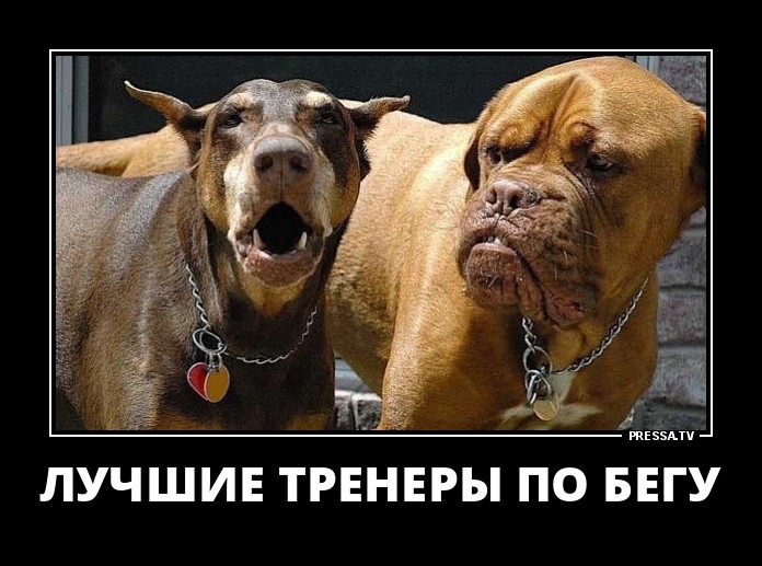 Лучшие тренеры по бегу