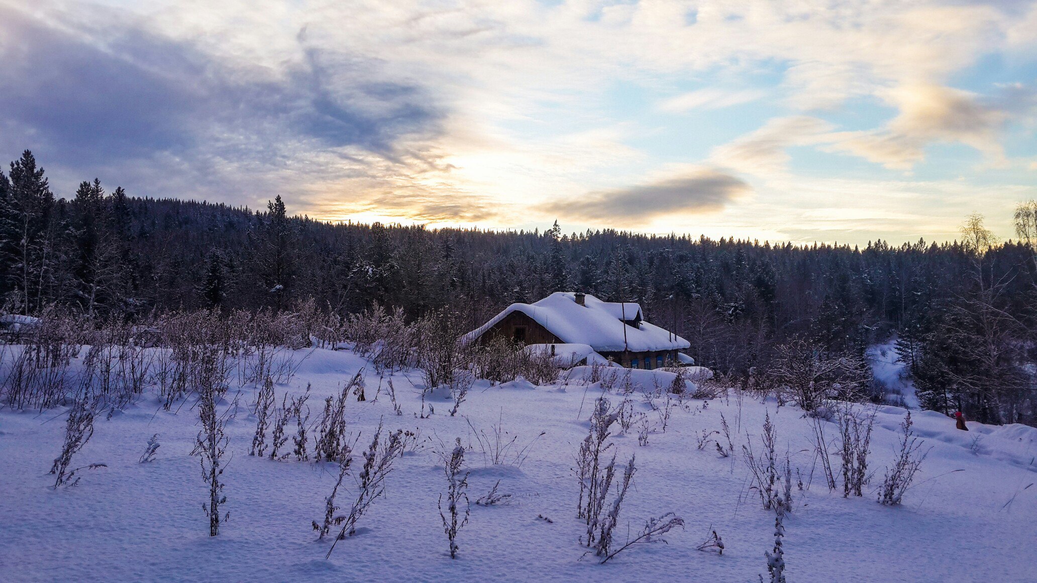 Новогодняя сказка