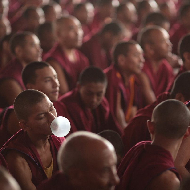 Без названия