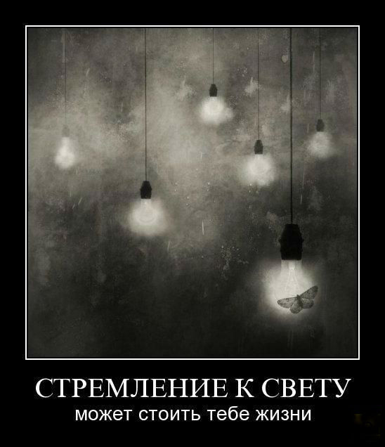 Стремление к свету