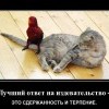 Лучший ответ Лучший ответ