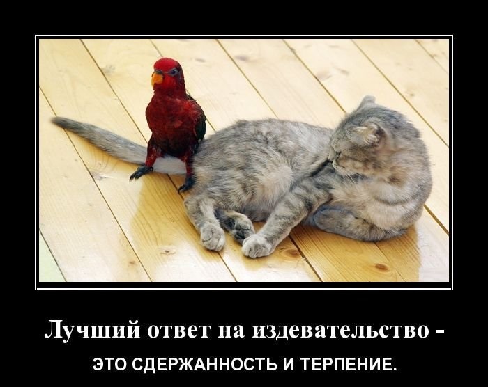 Лучший ответ