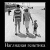 Наглядная генетика